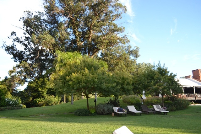 Jardim