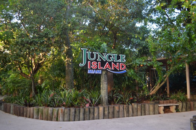 Jungle_Island-Mae_Tipo_eu