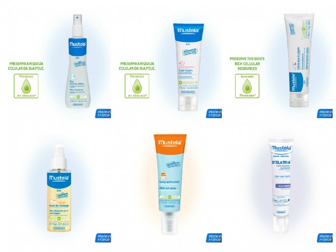Mustela-Mae_tipo_eu-23