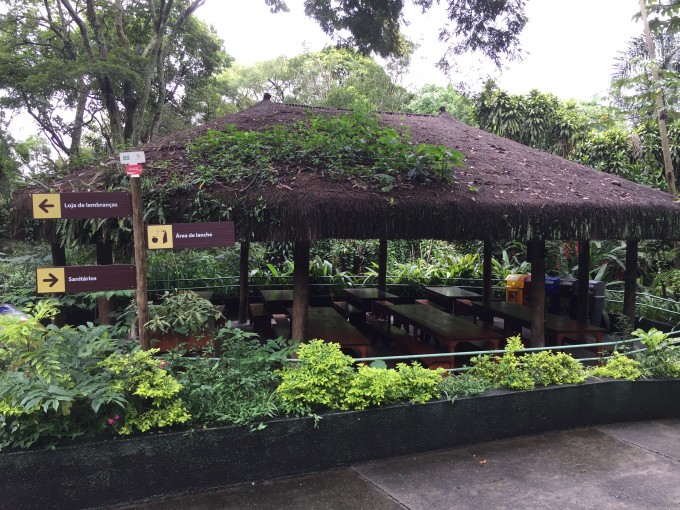 zoo safari