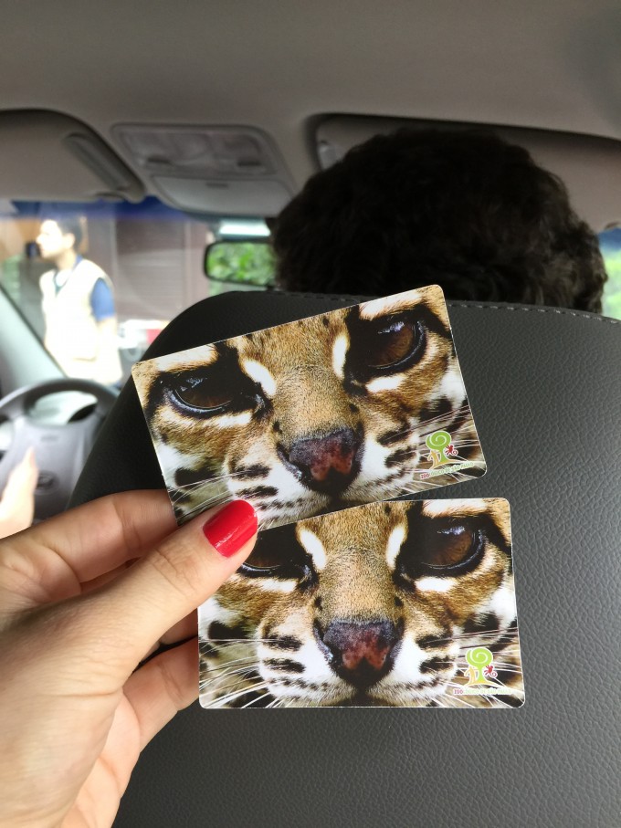 Ingressos do Zoo Safári