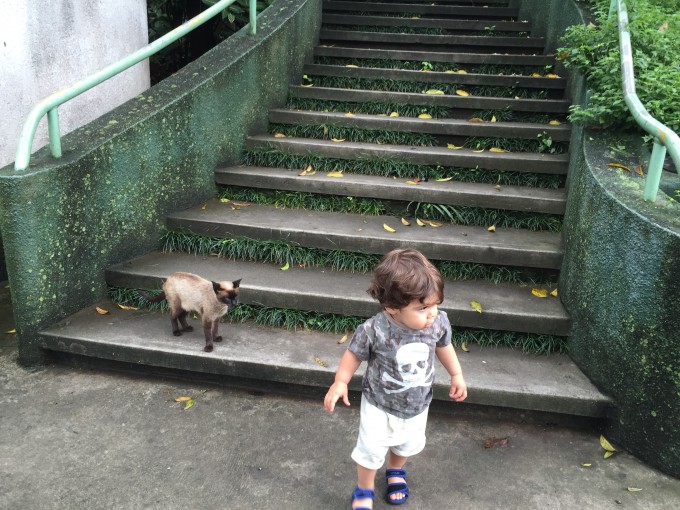 zoo safari