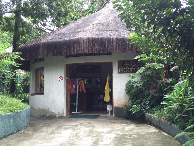 zoo safari