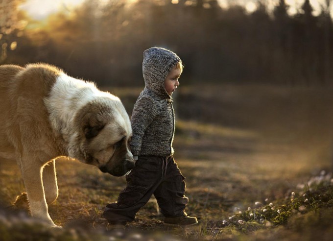Cachorros_Crianças-Mae_Tipo_eu-1
