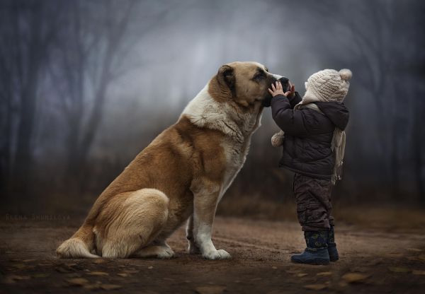 Cachorros_Crianças-Mae_Tipo_eu-3