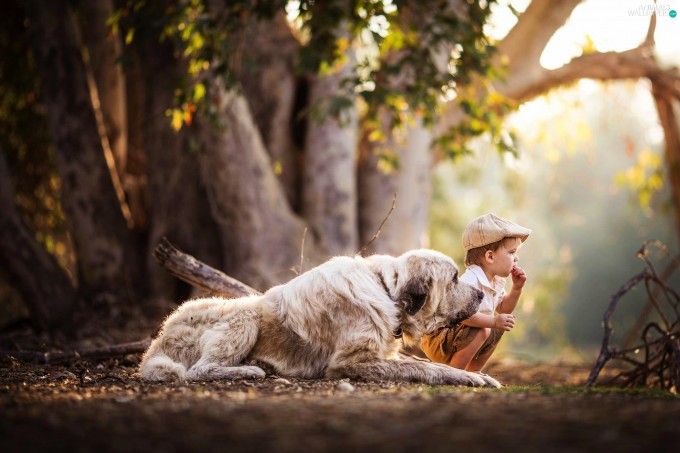 Cachorros_Crianças-Mae_Tipo_eu-5