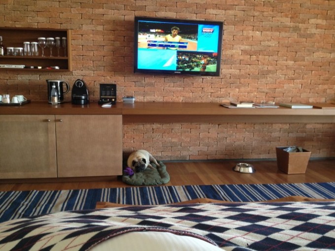 Yoda no quarto, deitado na caminha ao lado dos pratinhos do hotel