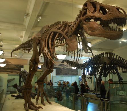 Paris_com_Crianças-Mae_tipo_eu-Muséum_national