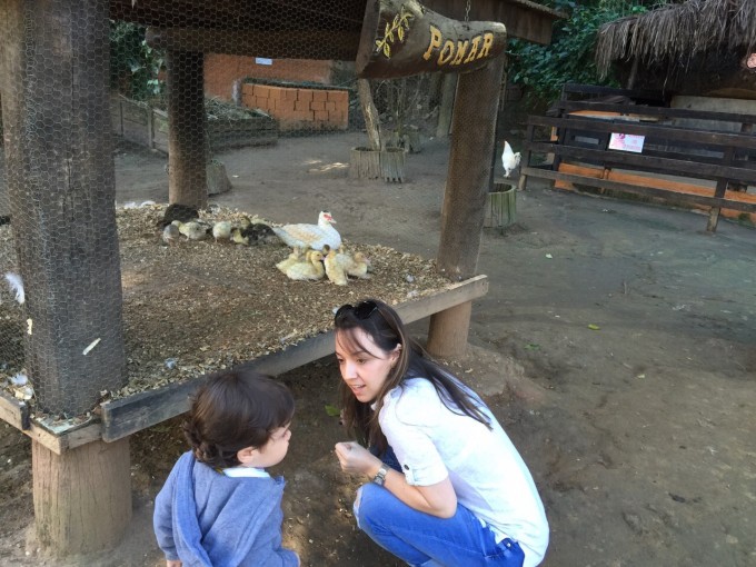 Pintinhos