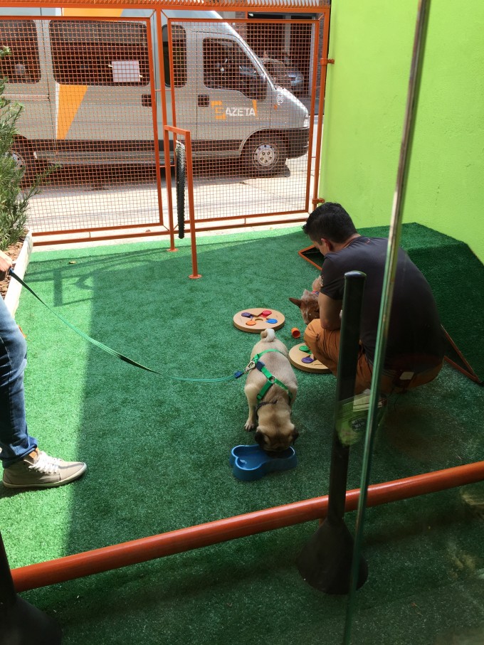Padaria_Pet_Cachorro-Mae_tipo_eu-5