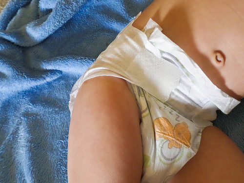 Fralda_Parents_Choice-Mae_tipo_eu-1