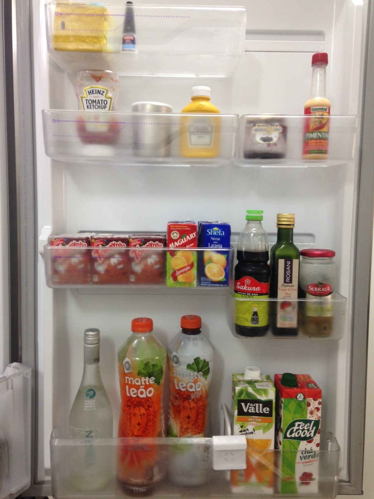 Organização_Geladeira-Mae_tipo_eu-2
