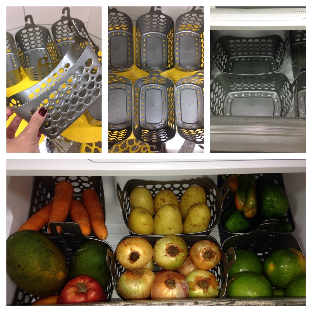 Organização_Geladeira-Mae_tipo_eu