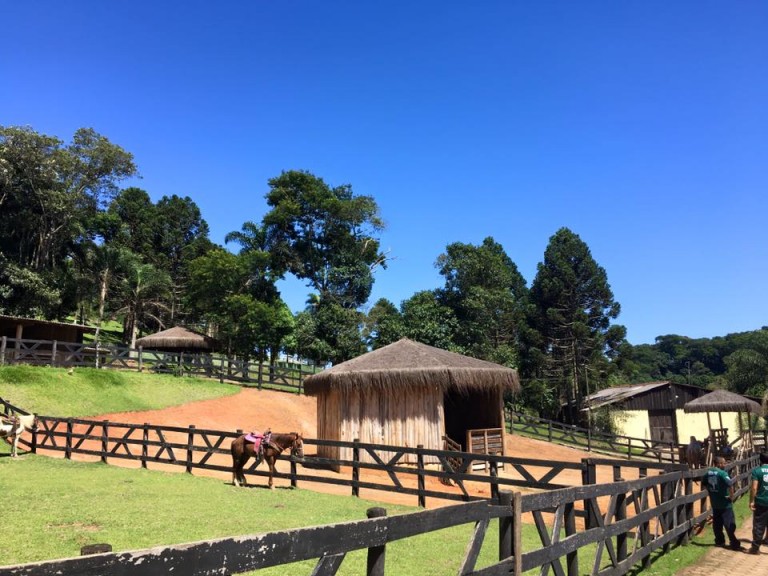 Parque com Fazendinha perto de São Paulo - Della Vittoria - Mãe Tipo Eu
