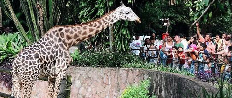 zoologico1