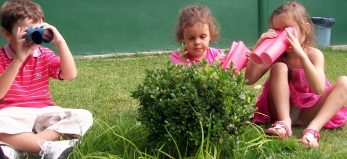 2-observando-a-natureza-kinder-2-em-blumenau1