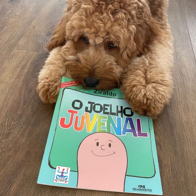 Mãe Tipo Eu